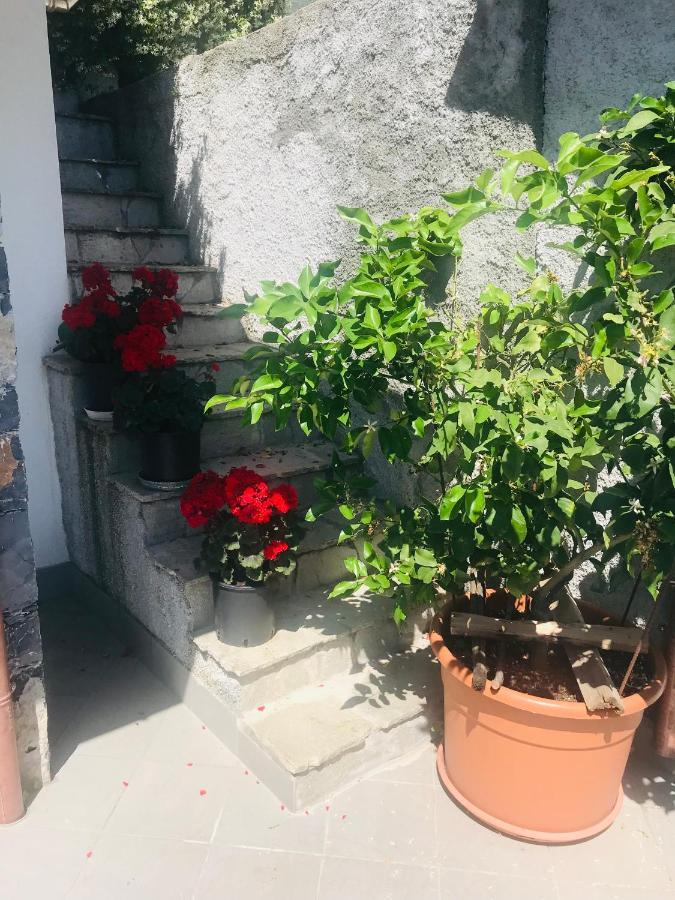 Villa Teresa Casarza Ligure Exterior foto